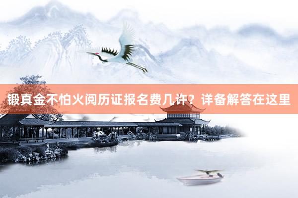 锻真金不怕火阅历证报名费几许？详备解答在这里