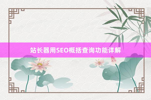 站长器用SEO概括查询功能详解