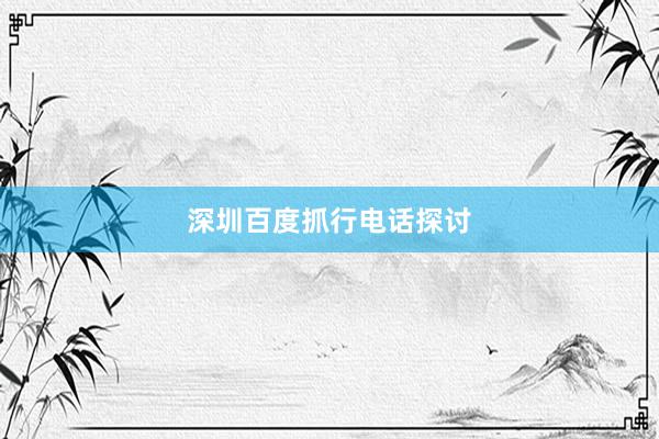 深圳百度抓行电话探讨