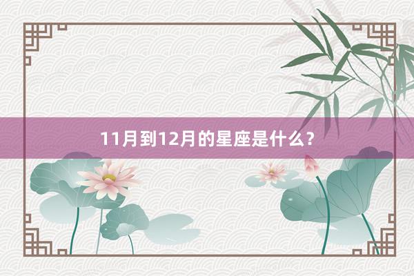 11月到12月的星座是什么？