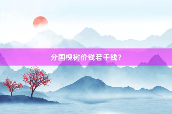 分国槐树价钱若干钱？