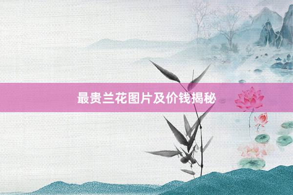 最贵兰花图片及价钱揭秘
